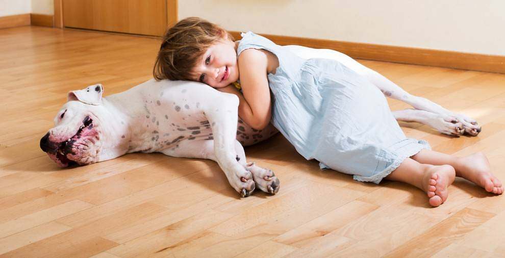 little-girl-on-dog little-girl-on-dog