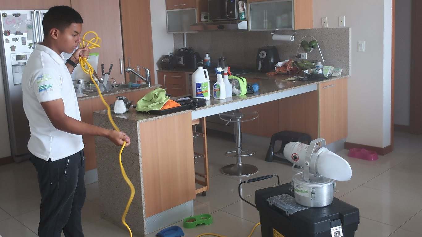 Mold Remediation Mold Remediation