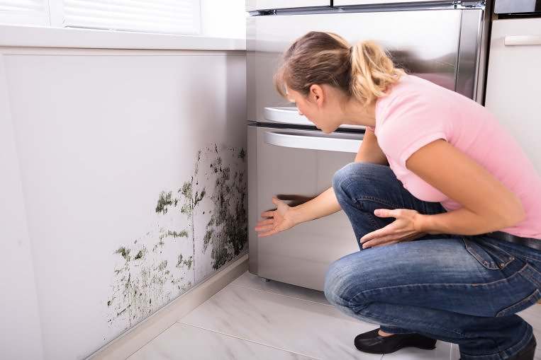 Shocked Woman Looking At Mold On Wall Close-up Of A Shocked Woman Looking At Mold On Wall